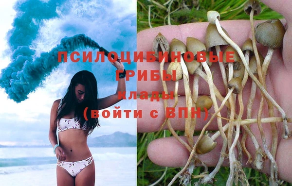 СК Хадыженск