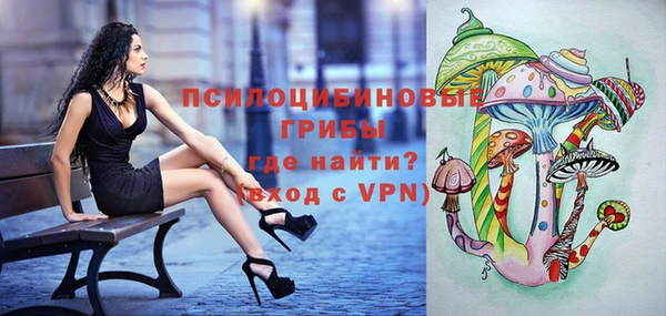 тгк Фурманов