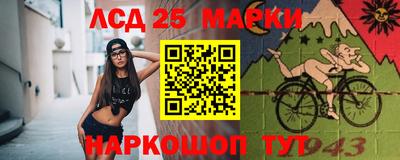 тгк Обь