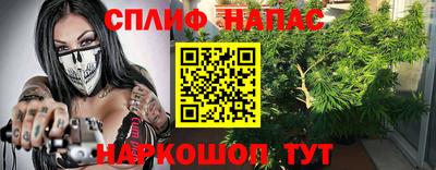 тгк Обь