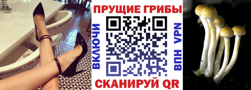 Псилоцибиновые грибы Cubensis  Симферополь 
