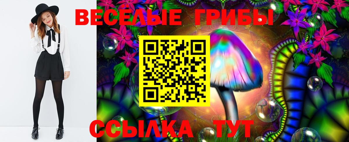 Псилоцибиновые грибы ЛСД  где продают наркотики  Галлюциногенные грибы Magic Shrooms  Симферополь  Вход с VPN 