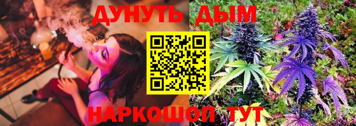 Симферополь  Бошки марихуана тримм  Бошки Шишки тримм  Шишки марихуана планчик  Вход с VPN 
